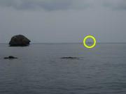 ファイル 1151-1.jpg