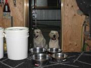 ファイル 1151-5.jpg