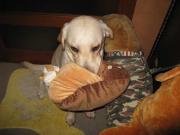 ファイル 1153-2.jpg