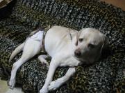 ファイル 1153-3.jpg