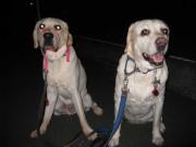 ファイル 1154-3.jpg