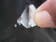 ファイル 1155-2.jpg