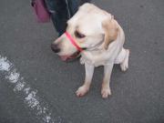 ファイル 1158-3.jpg