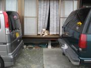 ファイル 1160-2.jpg