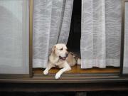 ファイル 1160-3.jpg