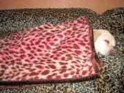 ファイル 1162-1.jpg