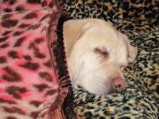 ファイル 1162-2.jpg