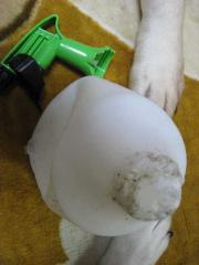 ファイル 1163-1.jpg