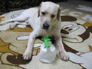 ファイル 1163-2.jpg