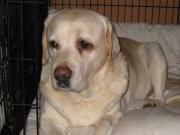 ファイル 1164-1.jpg