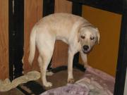 ファイル 1167-2.jpg