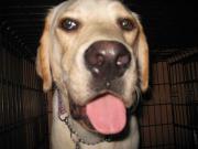 ファイル 1169-2.jpg