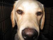 ファイル 1169-4.jpg