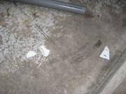 ファイル 1170-2.jpg