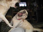 ファイル 1172-2.jpg