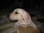 ファイル 1172-5.jpg