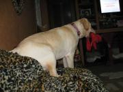 ファイル 1173-1.jpg