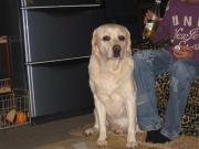 ファイル 1173-2.jpg