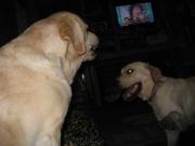 ファイル 1173-3.jpg