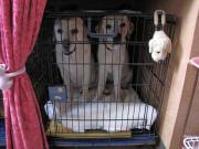 ファイル 1174-1.jpg