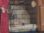 ファイル 1174-2.jpg