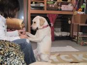 ファイル 1174-4.jpg