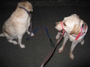 ファイル 1179-2.jpg