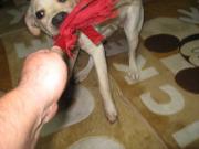 ファイル 1181-3.jpg