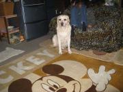 ファイル 1181-4.jpg