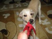 ファイル 1181-5.jpg