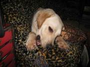 ファイル 1186-2.jpg