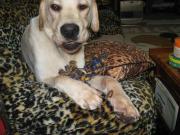 ファイル 1186-3.jpg