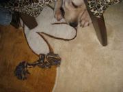 ファイル 1186-4.jpg