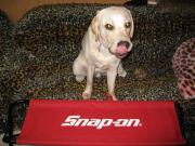 ファイル 1188-5.jpg