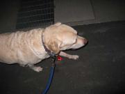 ファイル 1194-3.jpg