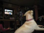 ファイル 1195-2.jpg