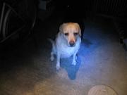 ファイル 1198-3.jpg