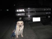 ファイル 1199-1.jpg