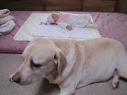 ファイル 1202-1.jpg