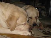 ファイル 1205-2.jpg