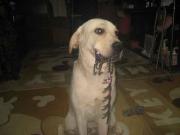 ファイル 1209-1.jpg