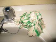 ファイル 1210-1.jpg