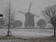 ファイル 1211-1.jpg