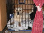 ファイル 1211-2.jpg