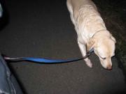 ファイル 1214-1.jpg