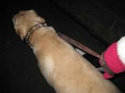 ファイル 1214-2.jpg