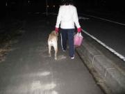 ファイル 1214-3.jpg