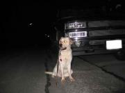 ファイル 1214-4.jpg