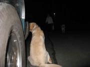 ファイル 1214-5.jpg