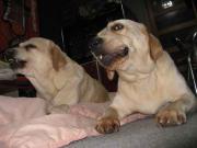 ファイル 1216-2.jpg